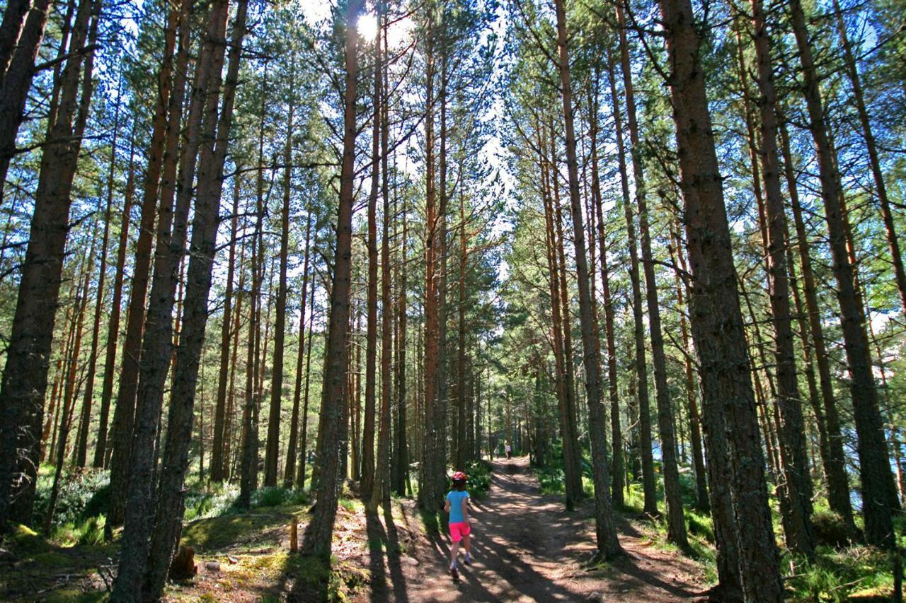 Tigh Na Lochan Aviemore Ngoại thất bức ảnh