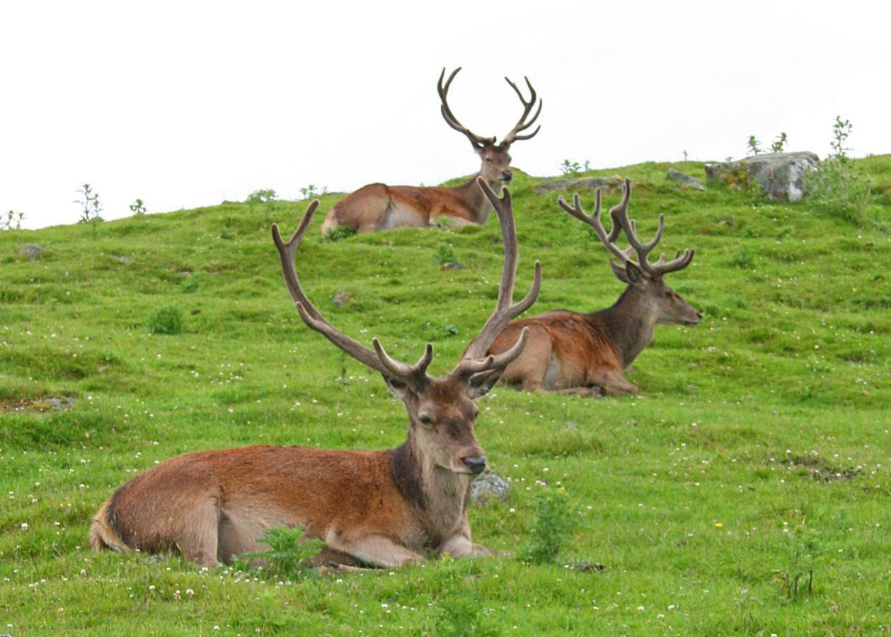 Tigh Na Lochan Aviemore Ngoại thất bức ảnh